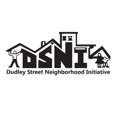 DSNI Logo
